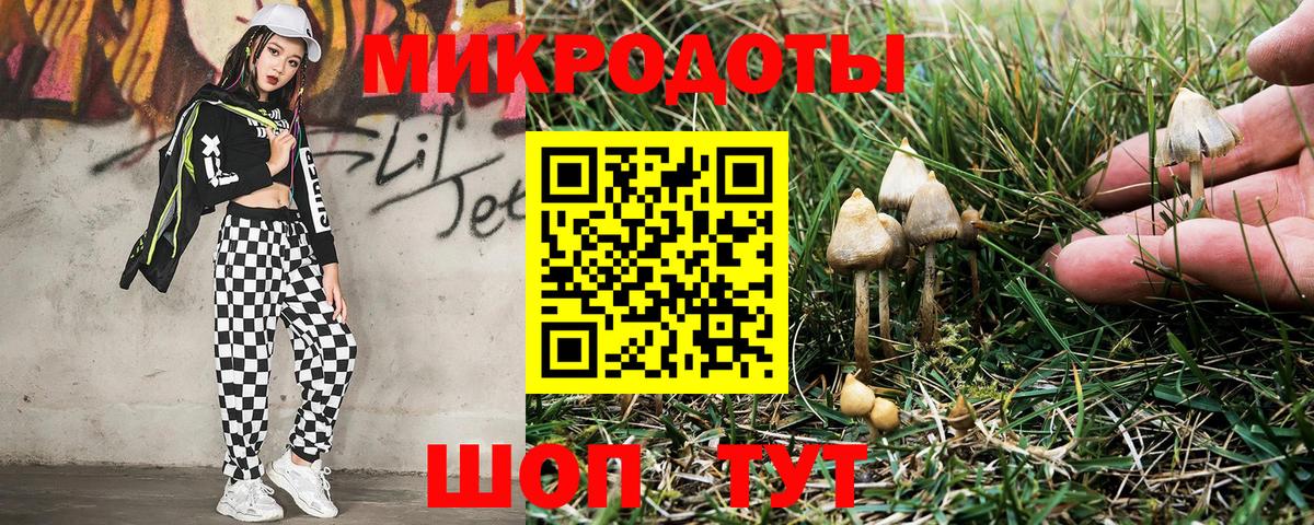 Псилоцибиновые грибы Psilocybine cubensis Можга